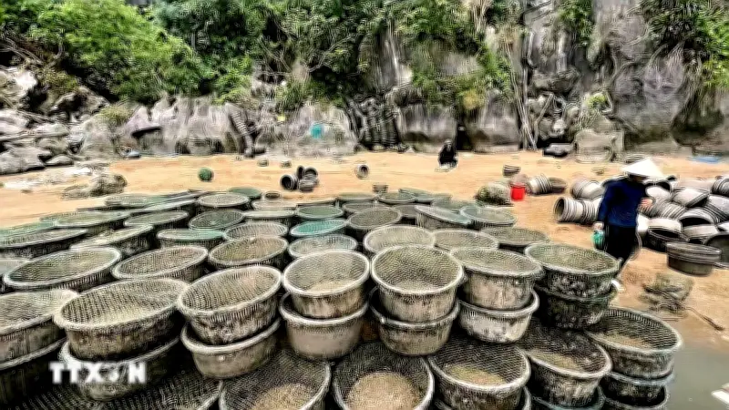 Kiên quyết xử lý các trường hợp nuôi trồng thủy sản trái phép trên vịnh Hạ Long