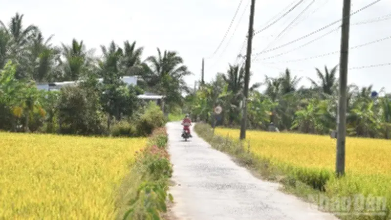 Kinh tế nông thôn ĐBSCL: Từ hạn chế hộ nhỏ lẻ đến cơ hội phát triển đa chức năng