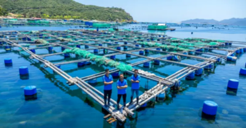 KLC Group định hình hệ sinh thái đa ngành với trọng tâm thủy hải sản, bất động sản và giải trí