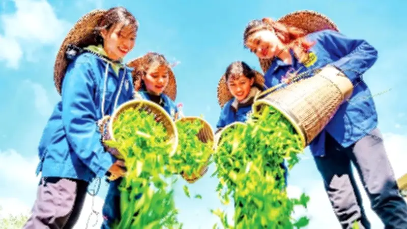 Kon Plông: Hướng tới trung tâm du lịch sinh thái và cộng đồng kiểu mẫu Tây Nguyên