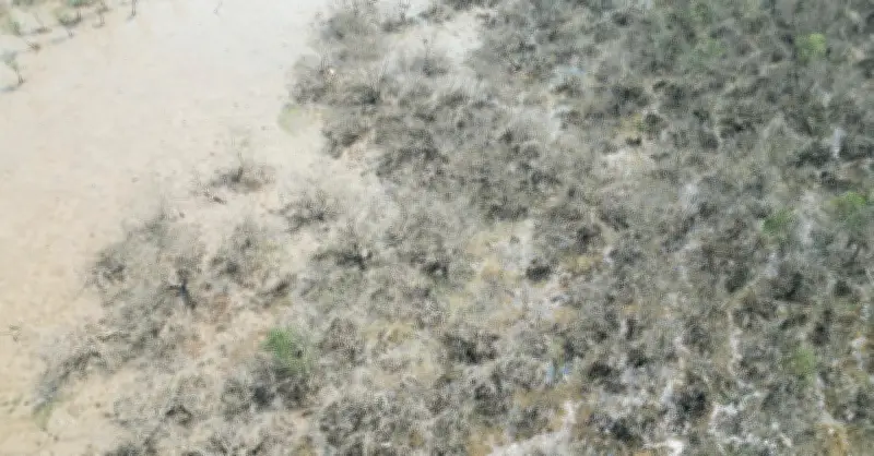 Kết quả quan trắc môi trường nước vùng biển Hà Tĩnh sau hiện tượng bất thường