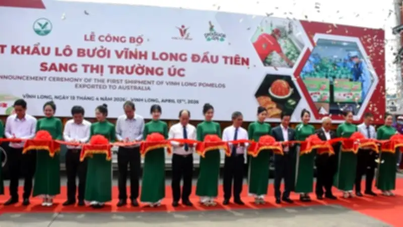 Lô bưởi da xanh Vĩnh Long đầu tiên xuất khẩu thành công sang thị trường Australia