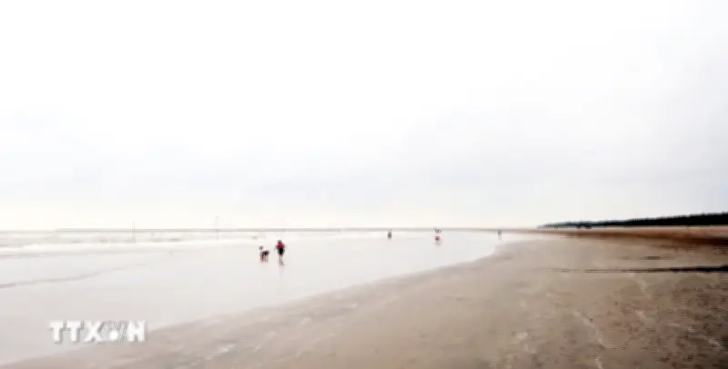 Lễ hội du lịch biển Ninh Bình 2026: Từ non thiêng đến biển rộng