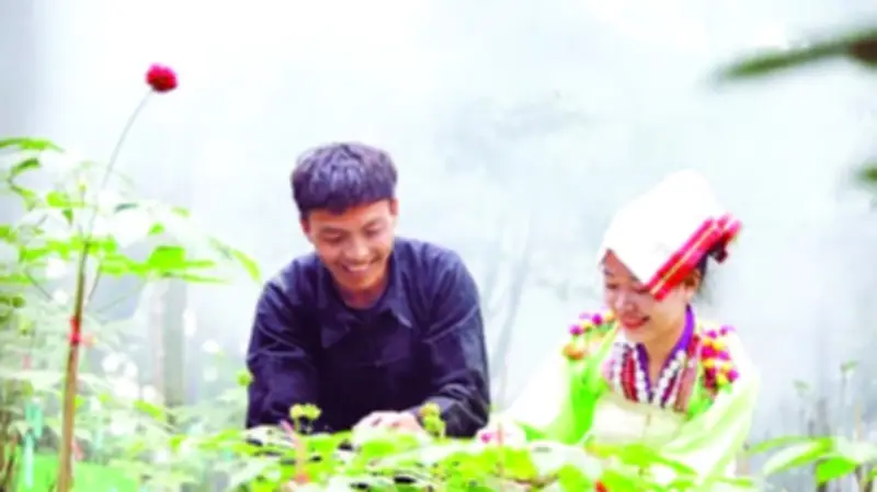 Lai Châu đẩy mạnh phát triển nông nghiệp xanh, bền vững đến năm 2030