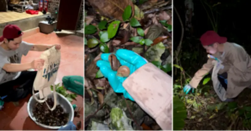 Lốc Trời Lạng Sơn xuất hiện buổi tối, khách băng rừng tìm đến di sản