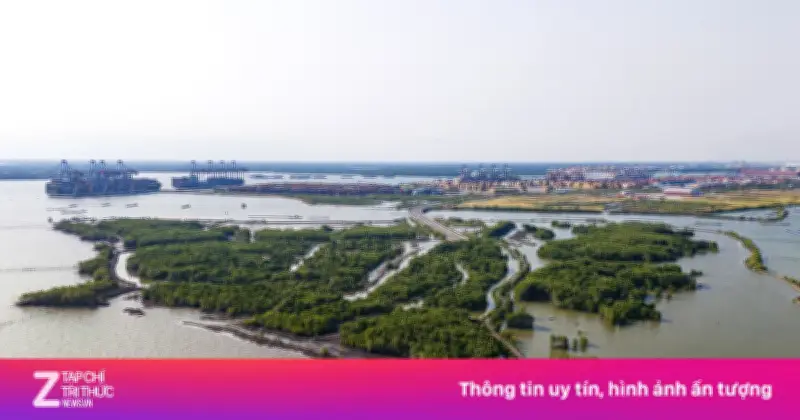 Liên Danh Geleximco Sắp Động Thổ Siêu Cảng Cái Mép Hạ Gần 2 Tỷ USD
