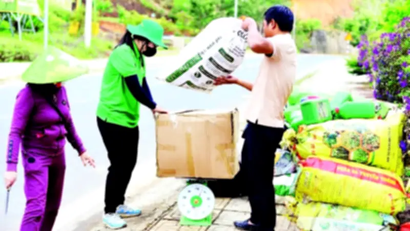 Lâm Đồng đối mặt thách thức thu gom bao bì thuốc bảo vệ thực vật sau sử dụng