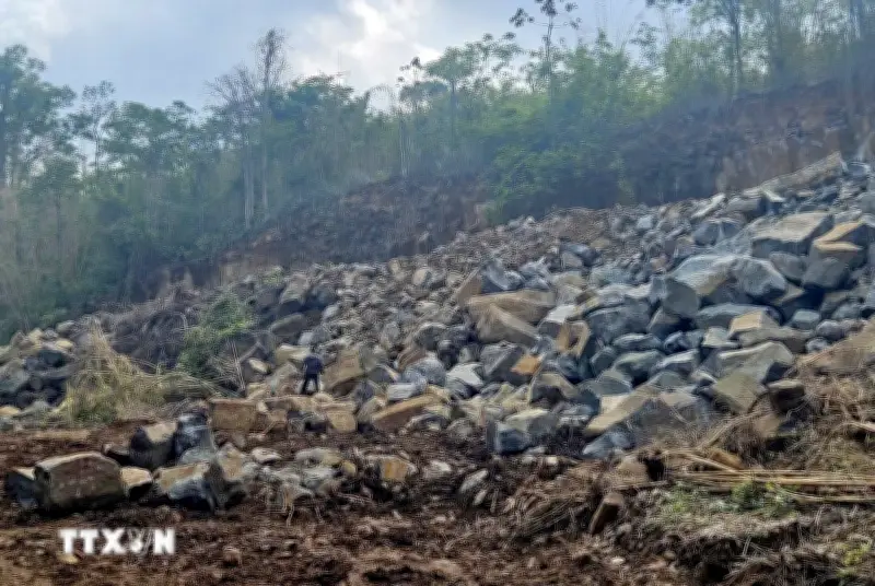 Lâm Đồng kiên quyết xử lý khai thác khoáng sản trái phép, giữ hàng trăm cây đá bazan