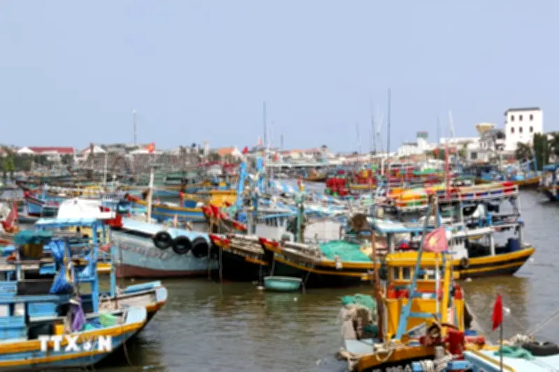 Lâm Đồng thành lập tổ công tác liên ngành chống khai thác iuu