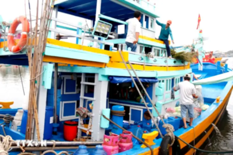 Lâm Đồng triển khai cao điểm chống khai thác gỗ trái phép trong rừng