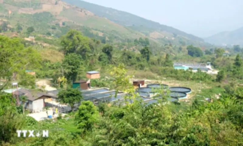 Lâm Đồng: Vươn mình từ vùng sâu, khai thác tiềm năng nông nghiệp và du lịch