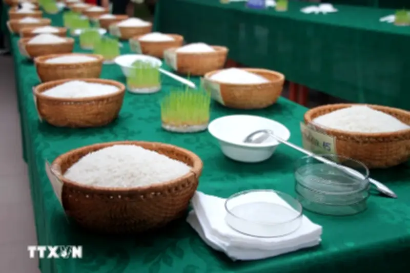 Lần đầu tiên tổ chức cuộc thi gạo ngon Đồng bằng sông Cửu Long