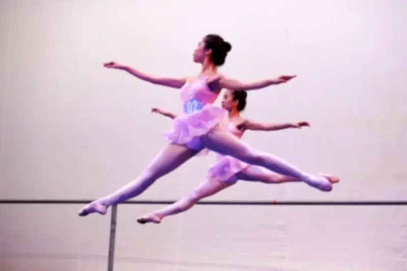 Lần đầu tiên xây dựng quy định đầy đủ với trường phổ thông năng khiếu nghệ thuật