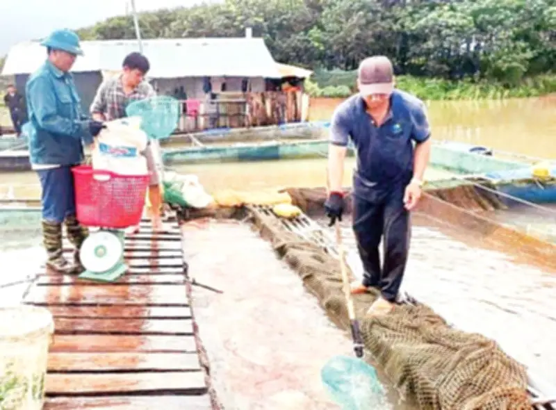 Làng Chài Nổi Trên Sông Pô Kô: Cuộc Sống Mưu Sinh Và Khát Vọng An Cư