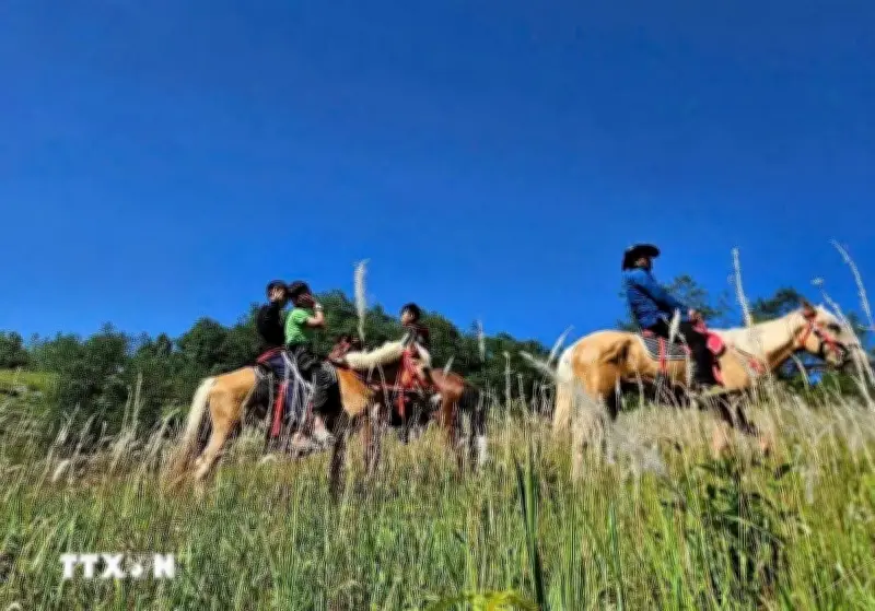 Lượng khách đến Tuyên Quang tăng mạnh dịp Giỗ Tổ Hùng Vương