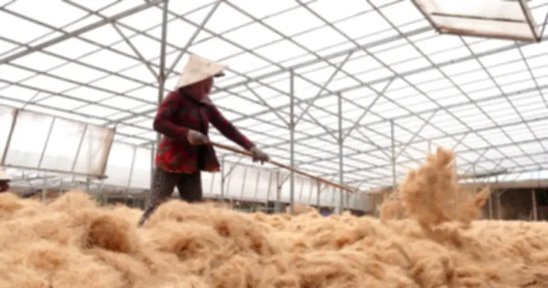 Làng nghề dệt chỉ xơ dừa hơn 40 năm vẫn 'đỏ lửa' bên bờ sông Thơm