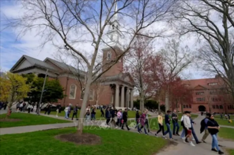 Lương Sinh Viên Quốc Tế Tại Mỹ Sụt Giảm Nghiêm Trọng, Tác Động Lớn Đến Tài Chính