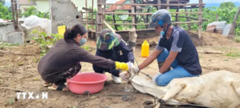 Lạng Sơn siết chặt kiểm soát phòng dịch bệnh trên tuyến biên giới