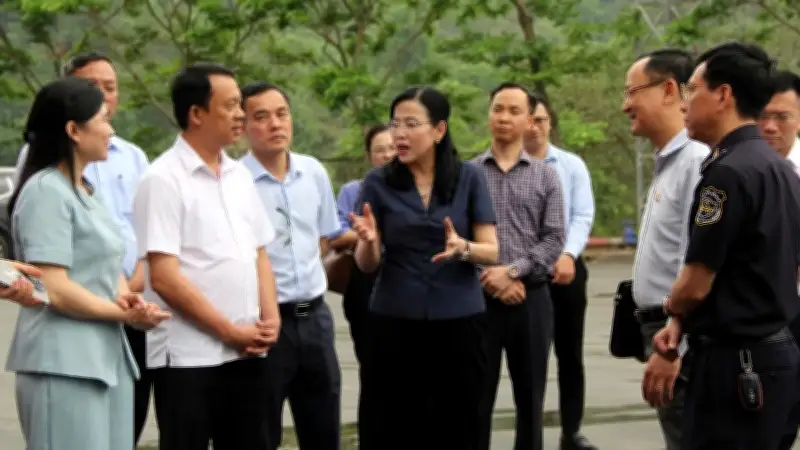 Lạng Sơn tăng cường kiểm tra an toàn thực phẩm tại cửa khẩu Hữu Nghị