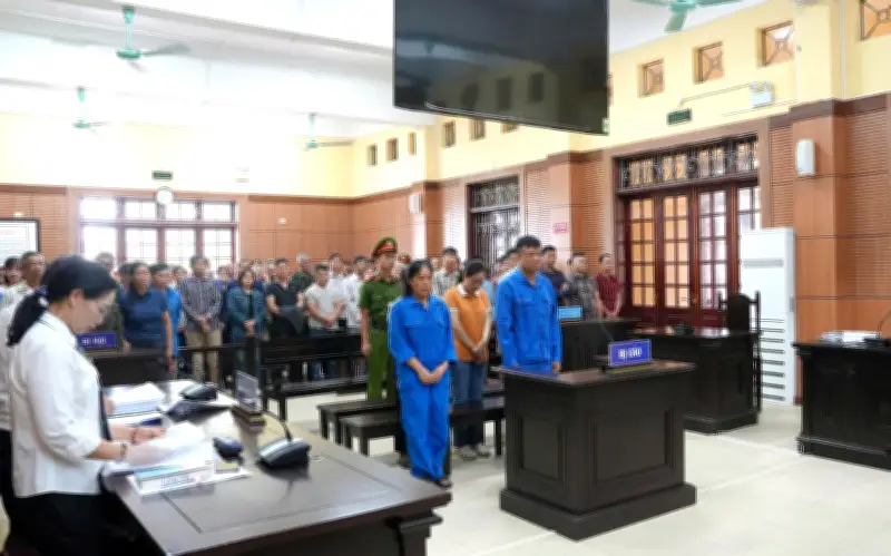 Lào Cai: 5 cán bộ lĩnh án tù vì biển thủ tiền hỗ trợ chăn nuôi