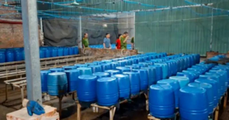 Lào Cai khởi tố đối tượng sản xuất hơn 500 tấn giá đỗ chứa chất độc hại 6-BAP