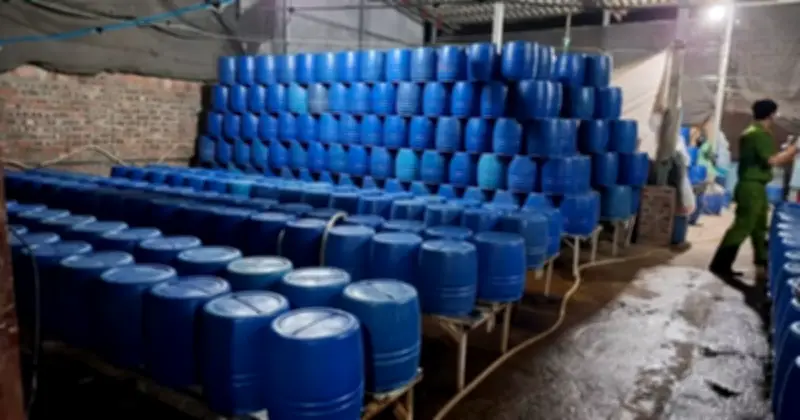 Lào Cai khởi tố vụ sản xuất giá đỗ chứa chất độc hại 6-BAP, thu giữ hơn 4 tấn