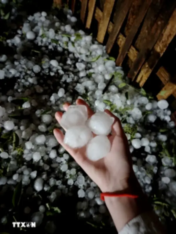 Lào Cai: Mưa đá to như trứng gà gây thương vong và thiệt hại tại Bắc Hà
