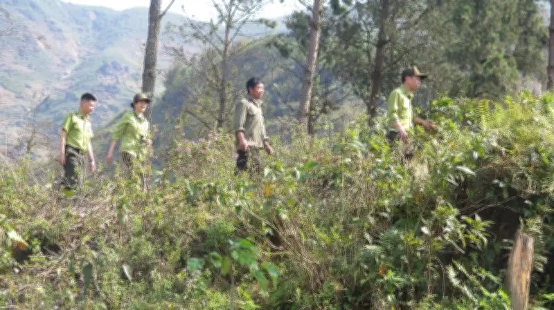 Lào Cai tăng cường phòng chống cháy rừng trong mùa nắng nóng gay gắt