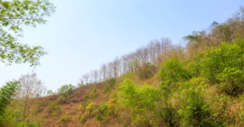 Long Hẹ (Sơn La) thu hẹp khoảng cách số, đẩy mạnh phát triển nông nghiệp nhờ giảm nghèo thông tin