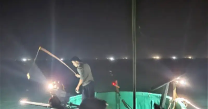 Đêm Trắng 'Giật' Mực Triệu Đồng: Câu Chuyện Đặc Sản Vũng Áng Làm Nức Lòng Du Khách