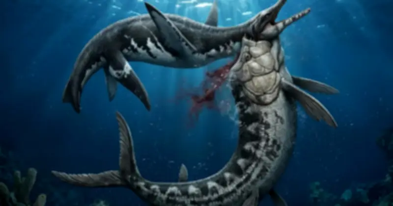 Mỹ: Xác 80 triệu tuổi lộ diện với vật lạ trong cổ