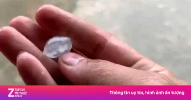 Mưa đá bất ngờ trút xuống xã miền núi Hùng Sơn, Đà Nẵng kéo dài hơn 10 phút