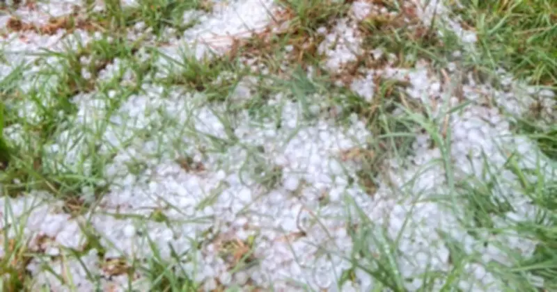 Mưa đá lớn tại Tu Mơ Rông gây thiệt hại nặng nề cho nông nghiệp và nhà cửa