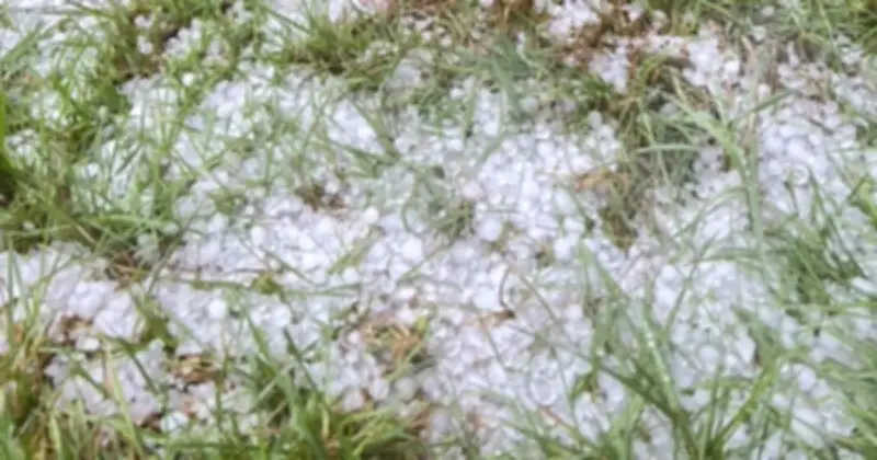 Mưa đá lớn tấn công Quảng Ngãi, gây thiệt hại nặng nề cho nông nghiệp