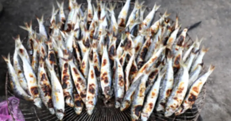 Mùa Săn 'Lộc Biển' Cá Trích Ở Nghệ An: Cảnh Tấp Nập Và Món Nướng Gây Sốt