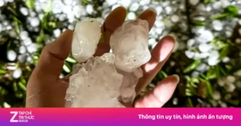 Mưa đá to như trứng gà dội xuống Lào Cai, gây thiệt hại nặng về nhà cửa và hoa màu