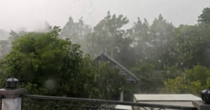 Mưa vàng giải nhiệt sau đợt nắng nóng gay gắt ở Đồng Nai và Lâm Đồng