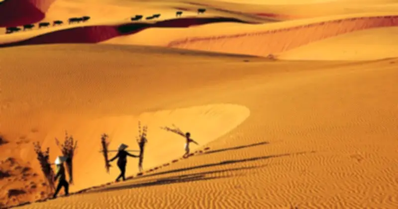 Mũi Né Lọt Top 10 Điểm Đến Xu Hướng Toàn Cầu 2026, Đánh Dấu Bước Tiến Du Lịch Việt