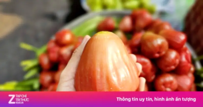Mận Hồng MST Giá 200.000 Đồng/Kg Vẫn Hút Khách Tại TP.HCM