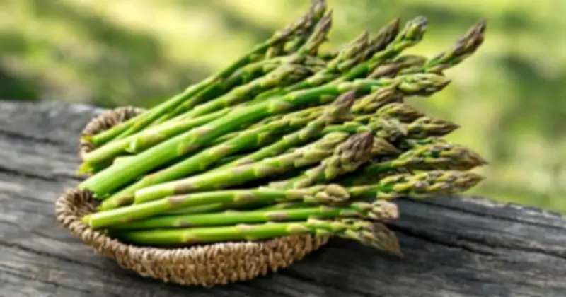 Măng Tây: 'Nhân Sâm' Cho Sức Khỏe Nhưng Lại Là Khắc Tinh Của Người Bệnh Gout