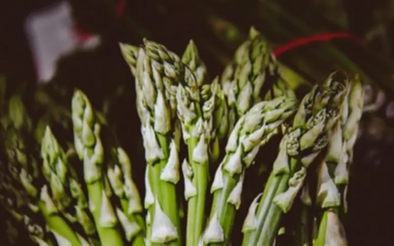 Măng Tây Xanh: 'Rau Hoàng Đế' Với Nhiều Lợi Ích Sức Khỏe Vượt Trội