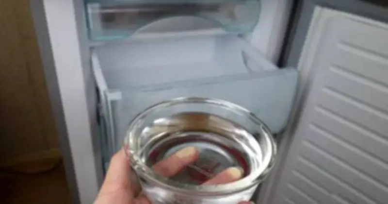 Mẹo Đặt Bát Nước Trong Tủ Lạnh Qua Đêm: Tiết Kiệm Điện Và Bảo Quản Thực Phẩm Hiệu Quả