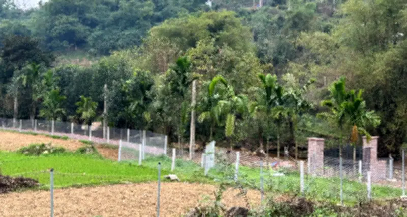 Mua đất năm 1998, chủ sở hữu có được trừ tiền đã nộp khi chuyển nhượng cổ phiếu?