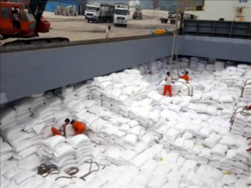 Ấn Độ Dẫn Đầu Xuất Khẩu Gạo Thế Giới 2025, Việt Nam Vươn Lên Vị Trí Thứ Hai