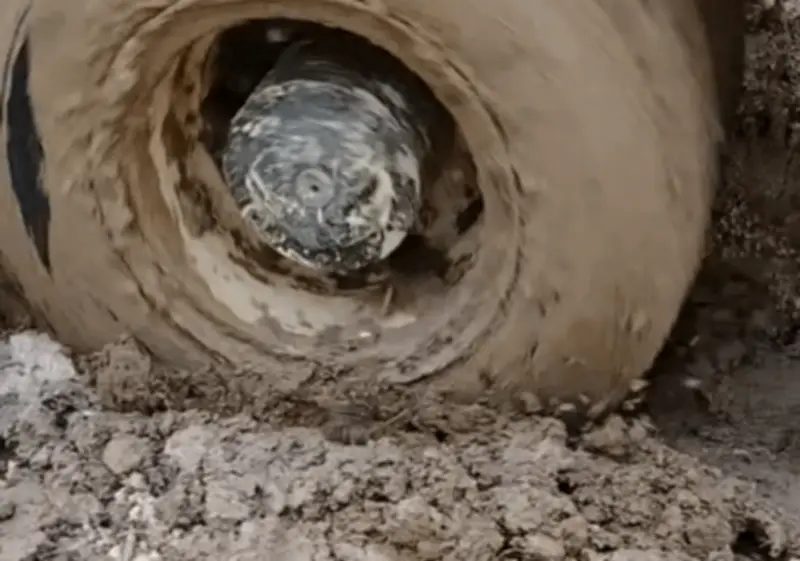 Nỗ lực vượt khó xây dựng công trình phòng học Dân trí ở biên giới