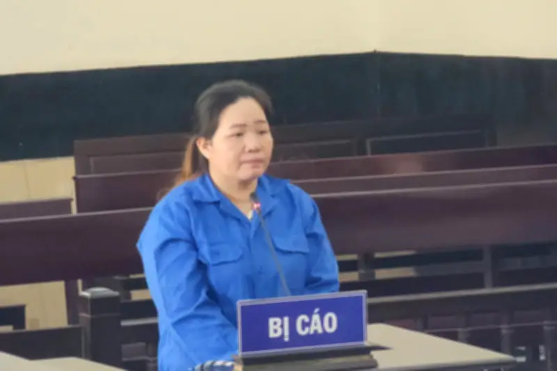 Nữ quái tạo tài khoản Zalo giả danh người khác, lừa đảo hơn 28 tỷ đồng