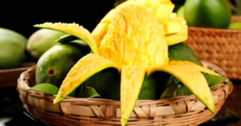 Ăn Xoài Đúng Liều Lượng: Bí Quyết Giảm Nếp Nhăn Hay Tăng Tốc Lão Hóa?