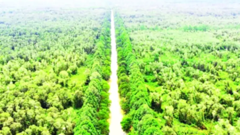 Nam Bộ nắng nóng gay gắt, nguy cơ cháy rừng gia tăng tại Vĩnh Long và Cần Thơ