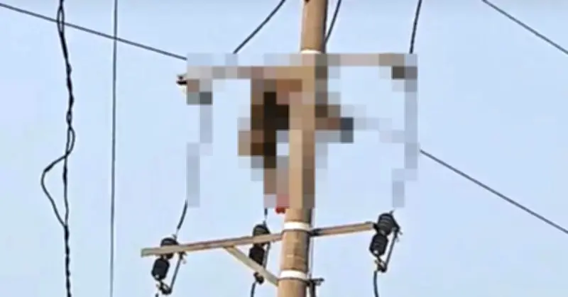 Nam sinh lớp 9 tử vong thương tâm do điện giật khi trèo cột điện bắt chim