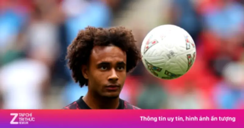 Napoli Mở Đàm Phán Chiêu Mộ Tiền Đạo Joshua Zirkzee Từ Manchester United